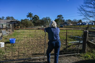 Questions over Sydney sprawl as Australia cleans up after floods