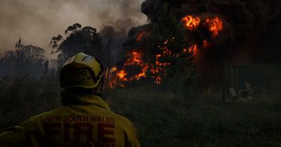 Hunter's bushfire management plan open for comment ahead of summer