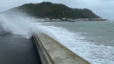 Planes grounded as severe weather warnings issued by MetService in New Zealand