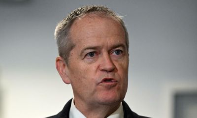 Bill Shorten intervenes to remove ‘birthing parent’ from medical forms amid criticism in Daily Telegraph