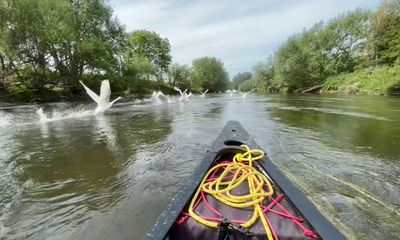 Drifting with dragonflies: a canoeing trip on the River Severn near Shrewsbury