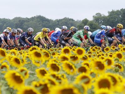 Tour de France 2022 stage 18 preview: Route map and profile of 143km road to Hautacam today