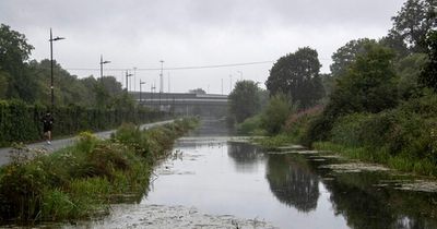 Hero passerby to the rescue after person collapses into Royal Canal