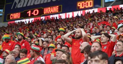 Wales chief urges fans to use common sense over rainbow flag at 2022 World Cup