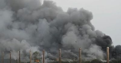 Birds killed as poultry farm that housed 32,000 hens and chickens goes up in flames