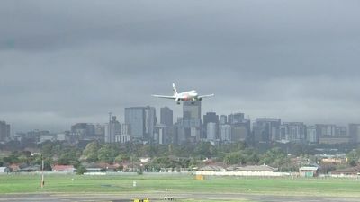 Foot-and-mouth disease viral fragments found in beef at Adelaide Airport, following Melbourne pork discovery