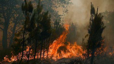 French forest fires under control as cooler weather moves in