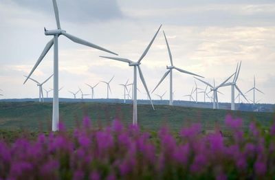 Westminster policy leaves Scotland missing out on 'green jobs bonanza' ministers warned