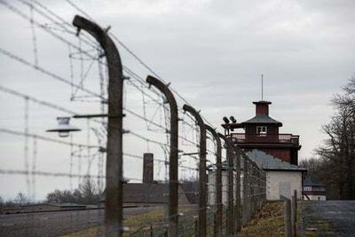 Trees dedicated to Buchenwald concentration camp victims vandalised