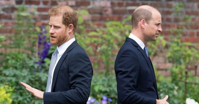 Prince Harry changed number without telling royals - confirming William's Meghan fear