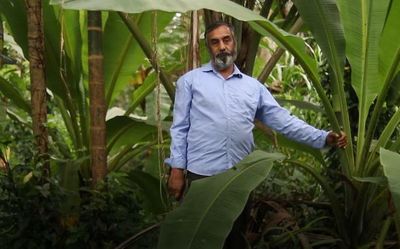 Watch | This Kerala farmer grows over 400 varieties of bananas