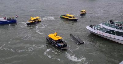 Rotterdam: 6 people including child pulled from water after boat SINKS in river crash