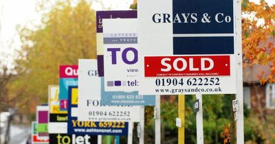 House sales 'halved' compared to last year according to HMRC