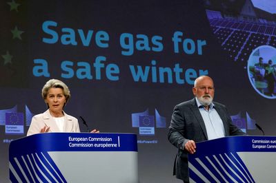 EU plan to curb gas use faces opposition from countries