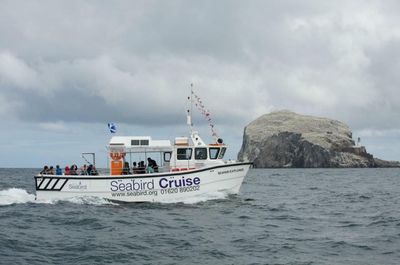 Tourist trips to dozens of Scottish islands banned amid avian flu outbreak