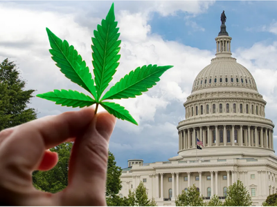 BREAKING: Schumer, Booker And Wyden Unveil Cannabis Legalization Bill - Here's What's In It