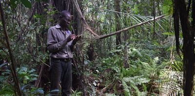 Congo peat swamps store three years of global carbon emissions – imminent oil drilling could release it