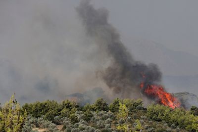 Europe's heatwave reaches Poland, Greece as it moves eastwards, brings wildfires