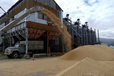 Deal to resume Ukraine Black Sea grain exports to be signed Friday - Turkey