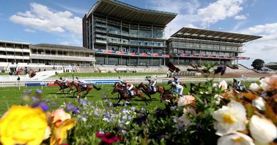 Friday racing tips from Newsboy for fixtures including Ascot and Thirsk plus York Nap