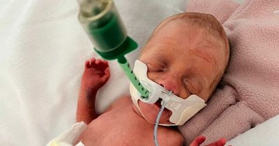 Premature baby stuck abroad after mum's gave birth on holiday flown home in incubator