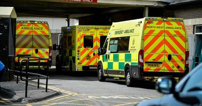 'Septic patients held on ambulances with no air con outside hospitals' on UK's hottest days on record, say paramedics