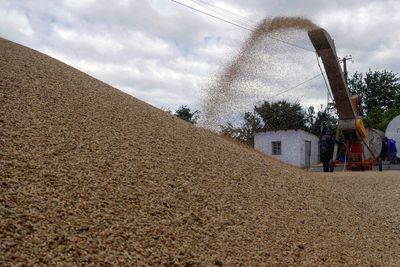 Turkey says Russia, Ukraine to sign U.N. grain export deal Friday