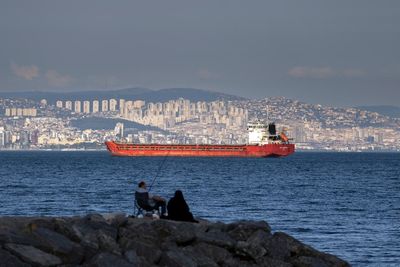 Turkey: Ukraine grain export deal to be signed in Istanbul