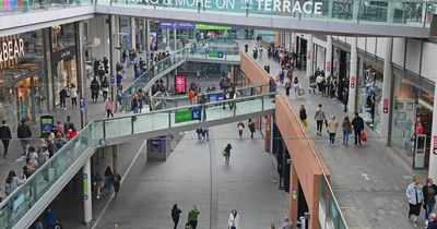 Man baffled by Liverpool One toilets asks 'emergency question'