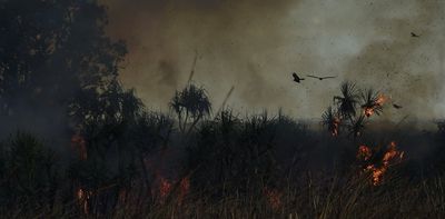 New research in Arnhem Land reveals why institutional fire management is inferior to cultural burning