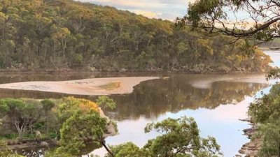 Bega Valley Shire Council rejects land swap for controversial development, threatened species fears remain