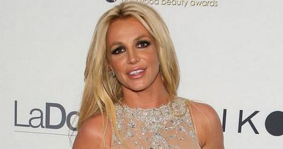 Britney Spears' fans raise concerns after she posts 11 naked photos in one hour