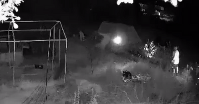 Gang of men kick pet chickens like footballs and swing them by feet in vile CCTV