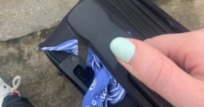 Young woman missing important medication tracks lost suitcase to Dublin Airport