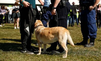 Music festival patrons launch class action against NSW police alleging unlawful strip-searches