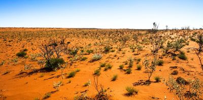 A penguin farm in the Australian desert: a thought experiment that reveals the flaws our in environment laws