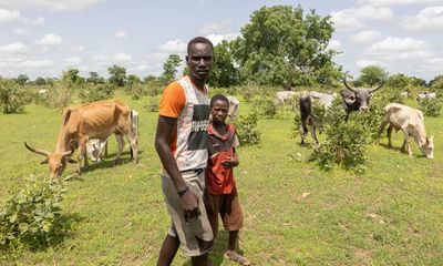 ‘We have travelled for a month to find grass’: climate crisis piles pressure on Senegal’s herders