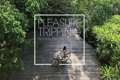 Pleasure tripping