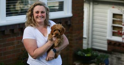 Number of pet-friendly rental listings increases in Newcastle