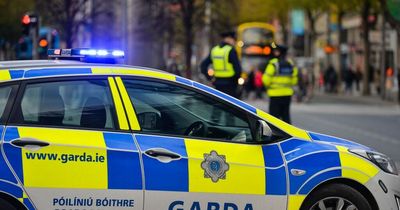 Undercover Gardai help officers carry out sting which results in 14 people arrested in major operation