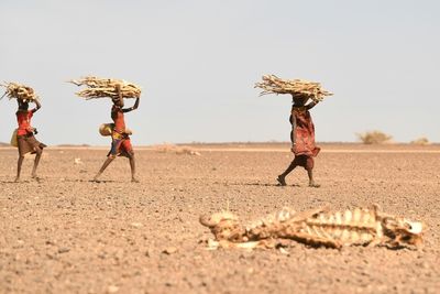 Millions hungry but drought overlooked as Kenya prepares to vote