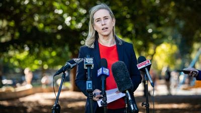 Simone McGurk wants decades old WA abortion laws 'brought up to scratch'