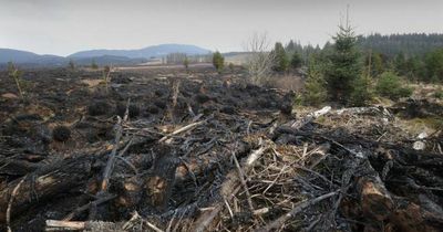 Fire chiefs issue "very high" risk of wildfire in Dumfries and Galloway due to hot weather