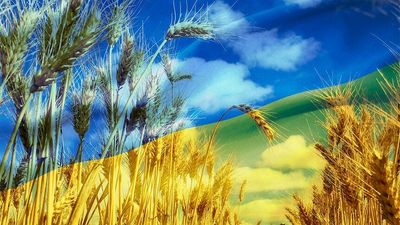 Global grain markets expecting Black Sea deal that will see Ukrainian exports resume