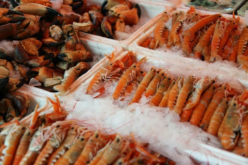 Warning over Scottish loch's shellfish after raised…