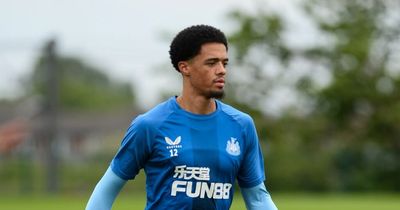Newcastle United duo edge closer to fitness after Eddie Howe assures them of pre-season chance