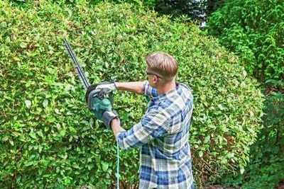 Best hedge trimmers for 2024, including electric, cordless and petrol models
