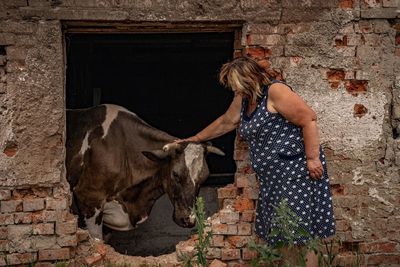 ‘A catastrophe for the world’: Ukraine’s farmers, on the frontline of global hunger, try to save harvest