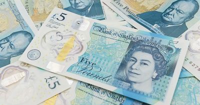 Hidden detail on Queen's neck in £5 note - that can only be seen with a laser