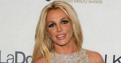 Britney Spears' fans concerned over popstar's 'constant' social media posts